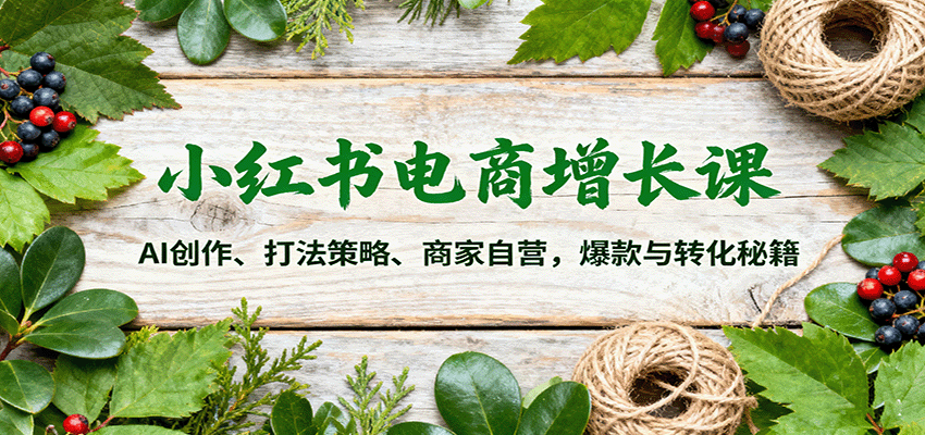 小红书电商增长课：AI创作、打法策略、商家自营，爆款与转化秘籍-K6源码网