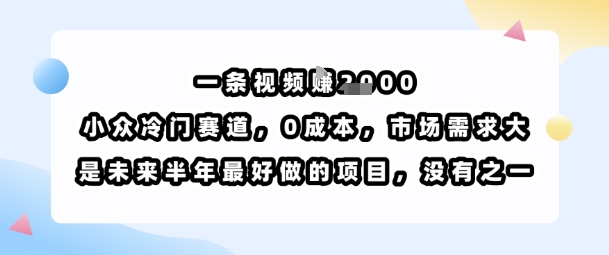 一条视频挣1k,小众冷门赛道,0成本,市场需求大,是未来半年最好做的项目,没有之一-K6源码网
