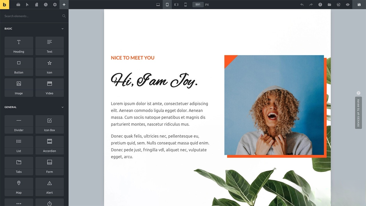 WordPress主题Bricks v1.9 破解版-K6源码网