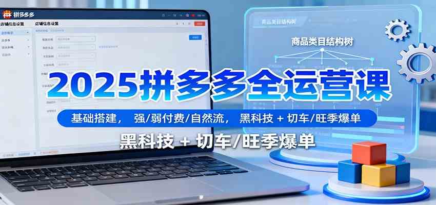 2025拼多多全运营课：基础搭建，强/弱付费/自然流，黑科技 + 切车/旺季爆单-K6源码网