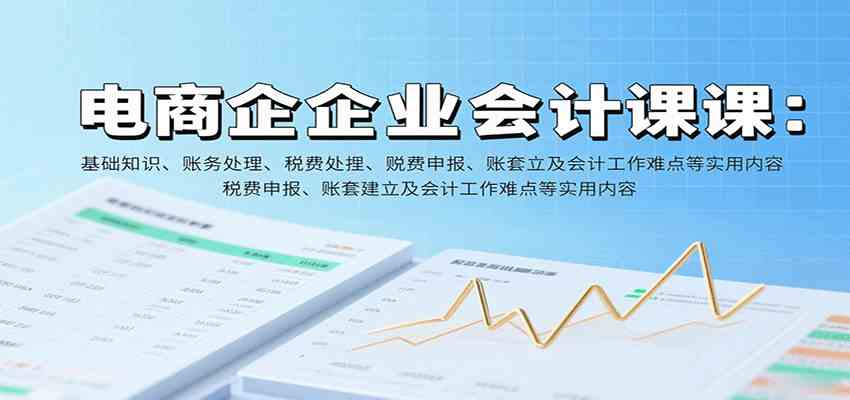 电商企业会计课：基础知识、账务处理、税费申报、账套建立及会计工作难点等实用内容-K6源码网