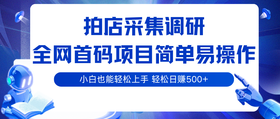 拍店采集调研,全网首码项目,简单易操作, 小白也能轻松上手,轻松日赚500+-K6源码网