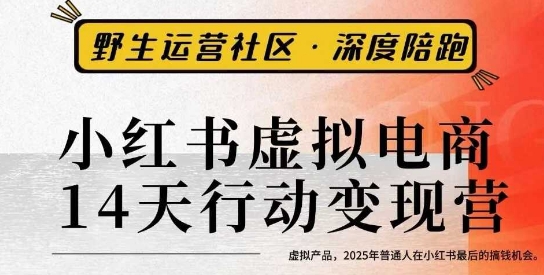 小红书虚拟电商14天变现训练营3.0,虚拟产品,2025年普通人在小红书最后的搞钱机会-K6源码网