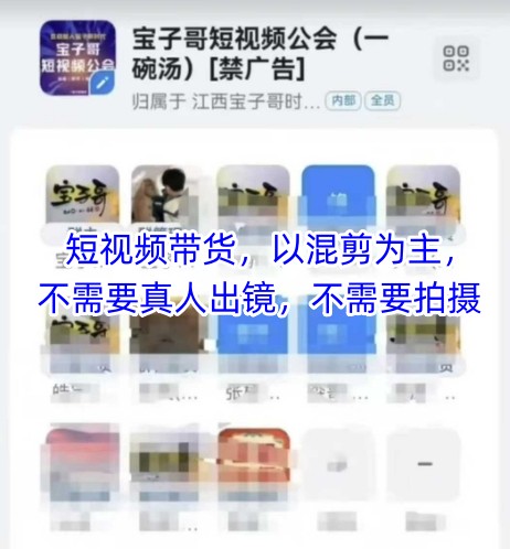 宝子哥头部团队短视频带货，以混剪为主，不需要真人出镜，不需要拍摄【更新11月】-K6源码网