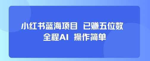小红书蓝海项目,全程AI,操作简单,已挣五位数-K6源码网