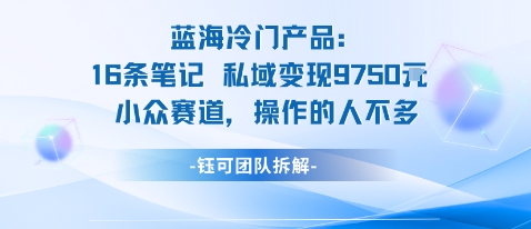 蓝海项目:16条笔记私域变现9750米小众赛道操作的人不多-K6源码网