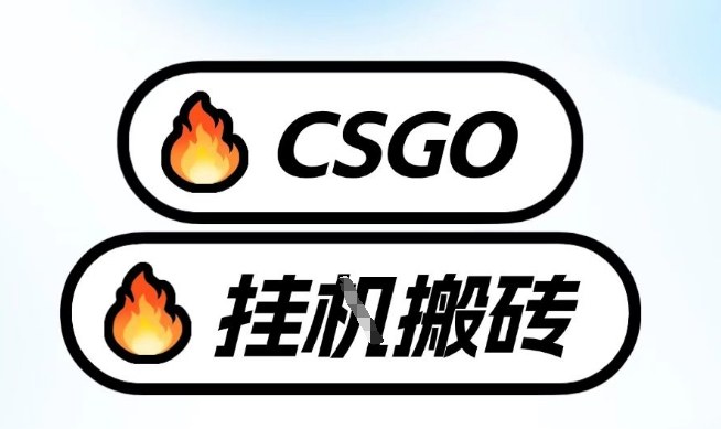 真全网独家CSGO挂G，最新玩法,单日捡漏1K+，不用电脑，不用打游戏【揭秘】-K6源码网
