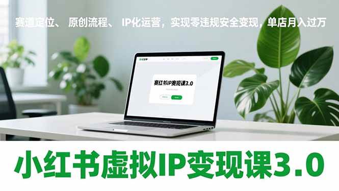 （17029期）小红书虚拟IP变现课3.0，赛道定位、原创流程、IP化运营，实现零违规安全变现，单店月入过万-K6源码网