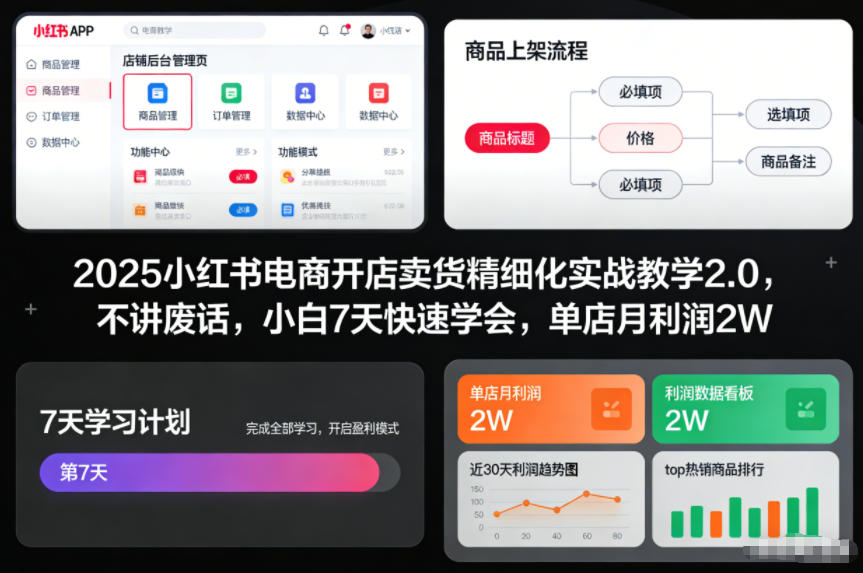 2025小红书电商开店卖货精细化实战教学2.0,不讲废话,小白7天快速学会,单店月利润2W-K6源码网