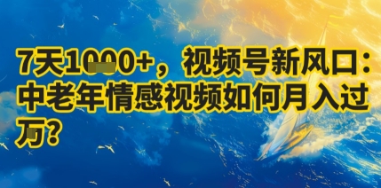 7天收益1k+，视频号新风口：中老年情感视频如何月入过W?-K6源码网