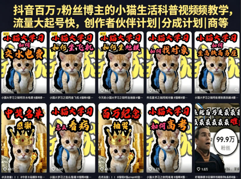抖音百万粉丝博主的小猫生活科普视频教学,流量大起号快,创作者伙伴计划|分成计划|商单|收徒等-K6源码网