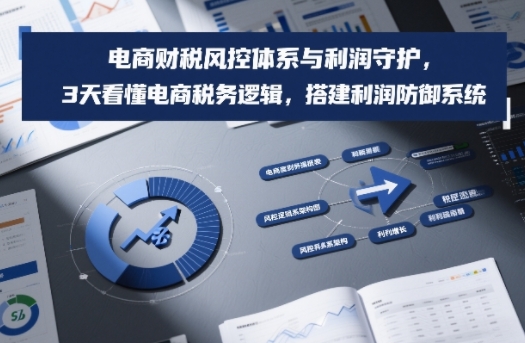 电商财税风控体系与利润守护，3天看懂电商税务逻辑，搭建利润防御系统-K6源码网