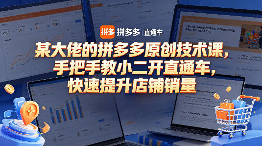 某大佬的拼多多原创技术课，手把手教小二开直通车，快速提升店铺销量-K6源码网