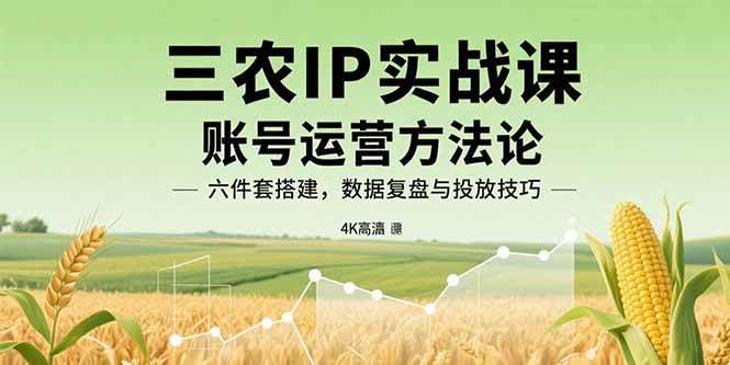 (15864期)三农IP实战课:账号运营方法论,六件套搭建,数据复盘与投放技巧-K6源码网