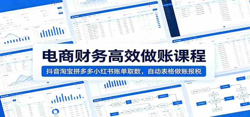 电商财务高效做账课程：抖音淘宝拼多多小红书账单取数，自动表格做账报税-K6源码网
