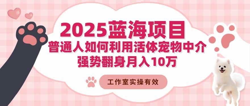 （16489期）2025蓝海项目：普通人如何利用活体宠物中介，强势翻身月入10万-K6源码网