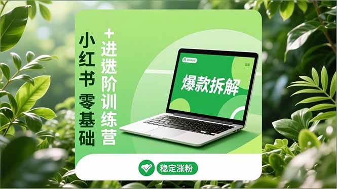（16801期）小红书零基础+高阶训练营：安全养号、爆款拆解、长效运营，实现稳定涨粉与变现-K6源码网