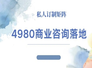 4980商业咨询师落地课程-ip运营高客单教程-K6源码网