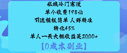 私域冷门赛道:单个收费198米引流模板简单人群精准转化45%单人一天大概收益是1k+-K6源码网
