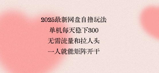 2025最新网盘自撸玩法，单机每天稳下3张，无需流量和拉人头，一个人就可轻松矩阵，全网独一份【揭秘】-K6源码网