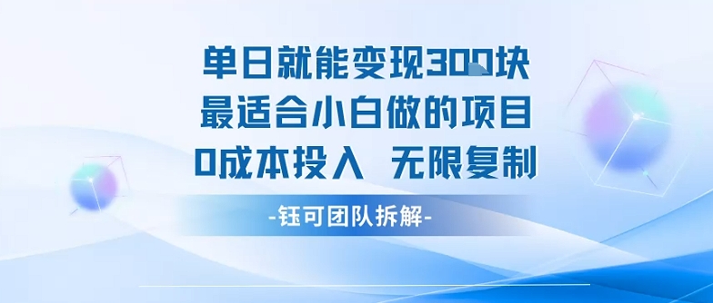 单日就能变现3张最适合小白做的项目0成本投入 无限复制-K6源码网