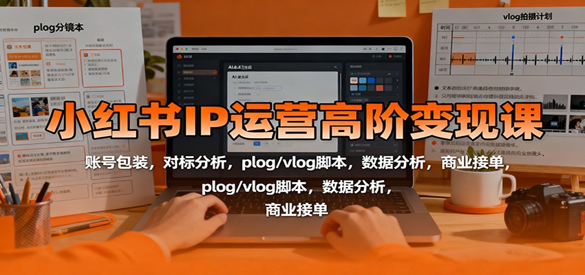 小红书IP运营高阶变现课：账号包装，对标分析，plog/vlog脚本，数据分析，商业接单-K6源码网
