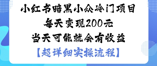 小红书暗黑小众冷门项目每天变现2张当天可能就会有收益-K6源码网