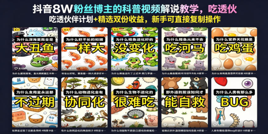 影视混剪零基础入门课:从素材获取到成片输出,系统学习影视混剪与平台运营-K6源码网