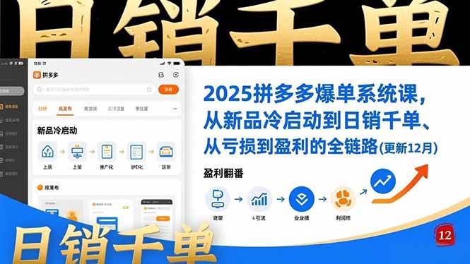 (16894期)2025拼多多爆单系统课,从新品冷启动到日销千单、从亏损到盈利的全链路(更新12月)-K6源码网