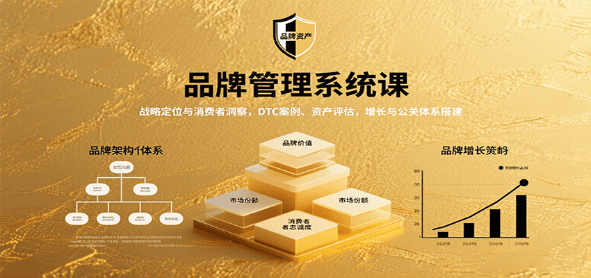 品牌管理系统课:战略定位与消费者洞察,DTC案例、资产评估,增长与公关体系搭建-K6源码网