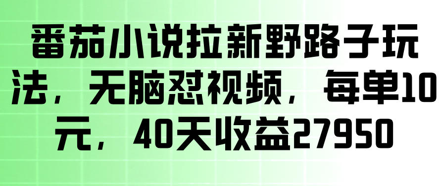 番茄小说拉新野路子玩法，无脑怼视频，玩法简单、见效快，每单10米，40天收益27950-K6源码网