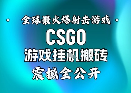 【年底大揭秘】基于全球最火爆的射击CSGO游戏挂G搬砖,日入5张+,震撼公开-K6源码网