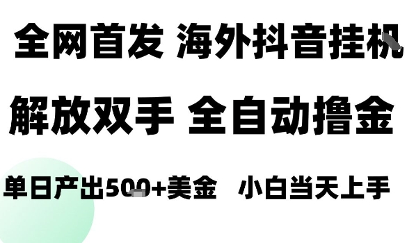 海外抖音无人直播,单日产出1.5k+,长期稳定,新手可玩,无脑操作【揭秘】-K6源码网