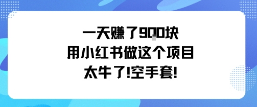 一天挣了9张用小红书做这个项目太牛了，空手套-K6源码网
