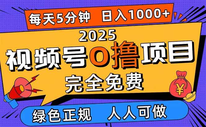 (16388期)2025视频号0撸项目,5分钟一个号,日入1000+,人人可做-K6源码网