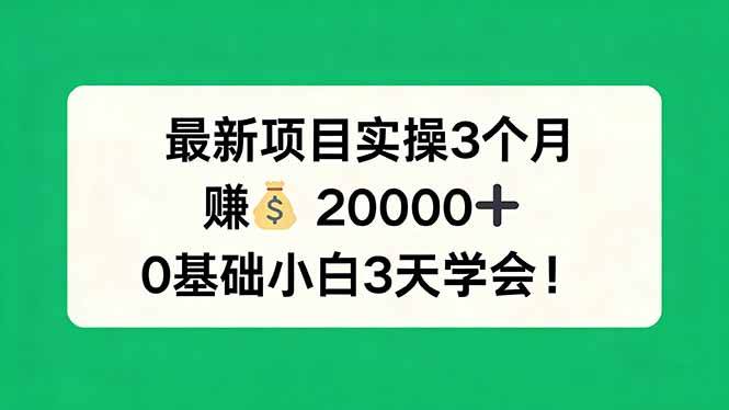 （17856期）最新项目实操3个月，赚钱20000+，0基础小白3天学会！-K6源码网