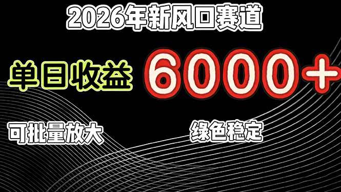 （17135期）2026年新风口赛道，当日6000+以上，可批量放大，月收入20万+，长期绿色稳定的项目-K6源码网