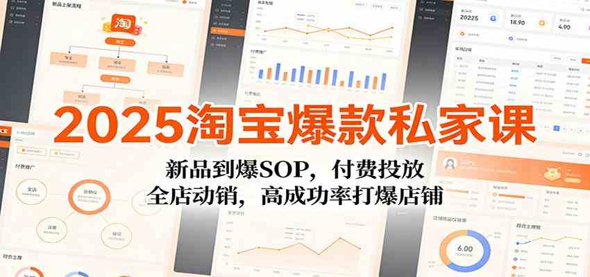 2025淘宝爆款私家课：新品到爆SOP，付费投放，全店动销，高成功率打爆店铺-K6源码网