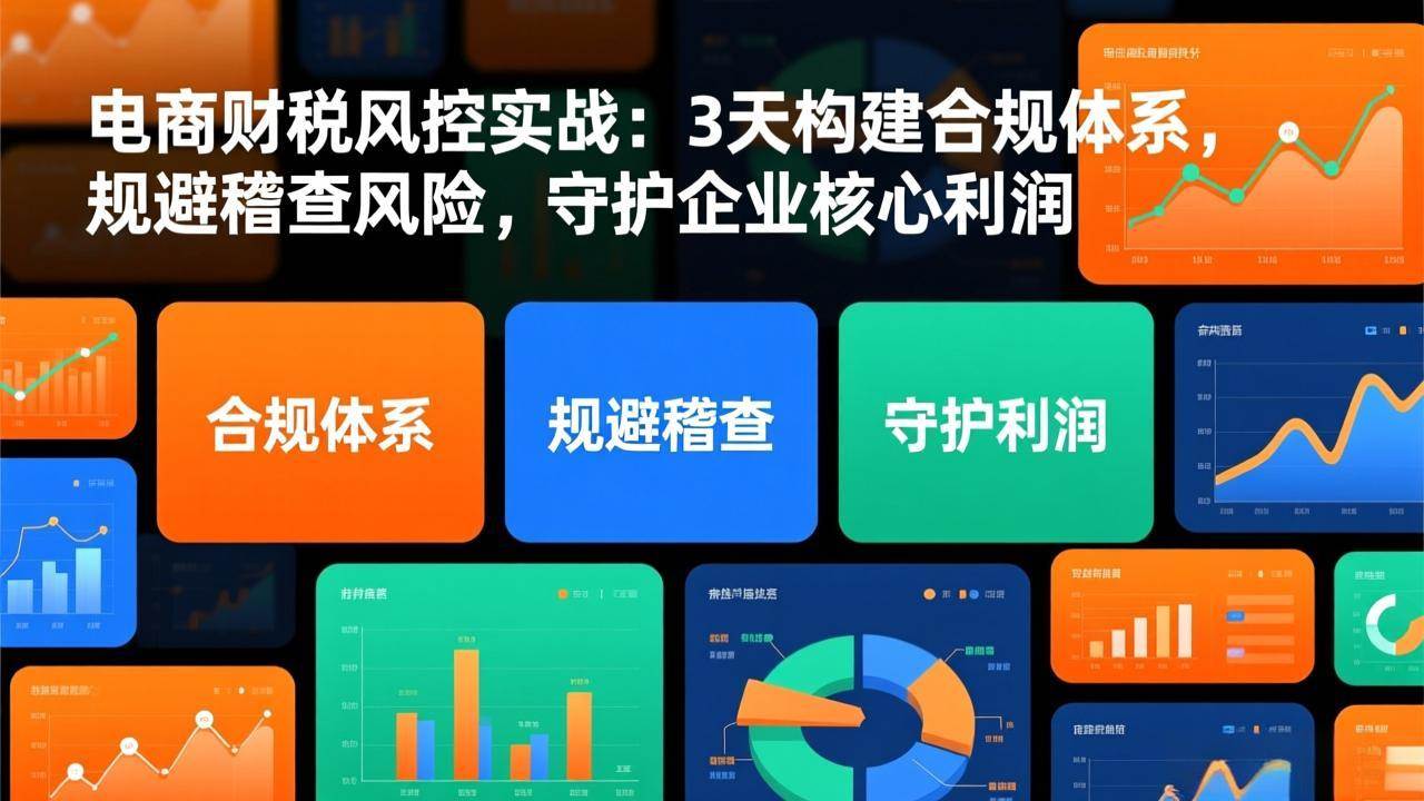 （17197期）电商财税风控实战：3天构建合规体系，规避稽查风险，守护企业核心利润-K6源码网