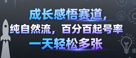 成长感悟赛道，纯自然流，百分百起号率 一天轻松多张-K6源码网