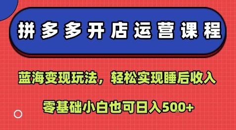 拼多多开店运营课程:蓝海变现玩法,轻松实现睡后收入,零基础小白也可日入5张-K6源码网