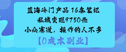 蓝海冷门产品:16条笔记私域变现9750米小众赛道,操作的人不多-K6源码网
