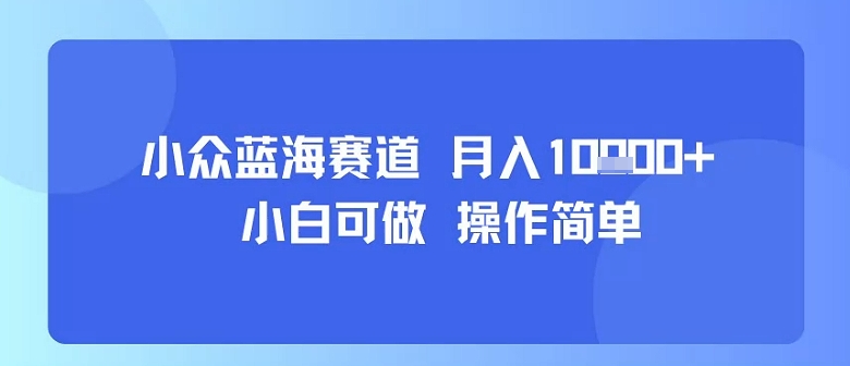 小众蓝海赛道,小白可做,操作简单,每天30分钟,月入1W+-K6源码网