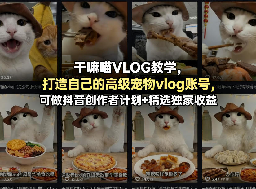 干嘛喵VLOG教学，打造自己的高级宠物vlog账号，可做抖音创作者计划+精选独家收益-K6源码网