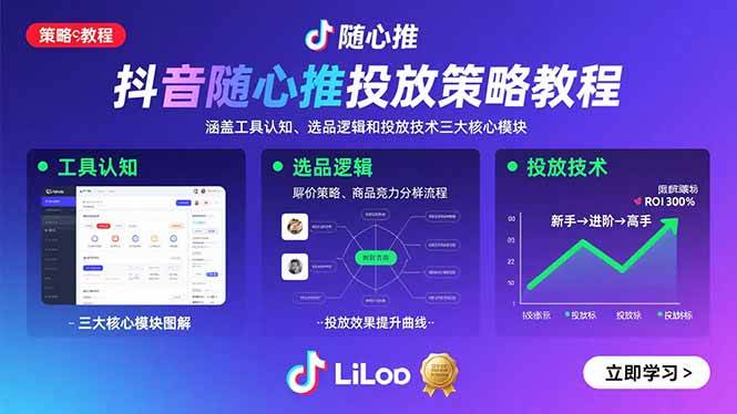 （15828期）抖音随心推投放策略教程：涵盖工具认知、选品逻辑和投放技术三大核心模块-K6源码网