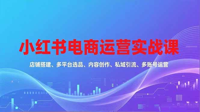 （16695期）小红书电商运营实战课，店铺搭建、多平台选品、内容创作、私域引流、多账号运营等玩法-K6源码网