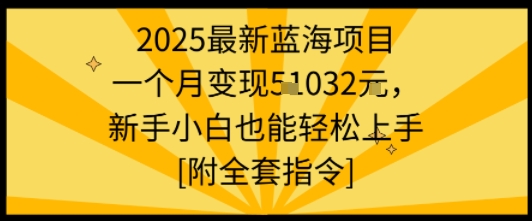 2025最新蓝海项目一个月变现1w+新手小白也能轻松上手【附全套指令】-K6源码网