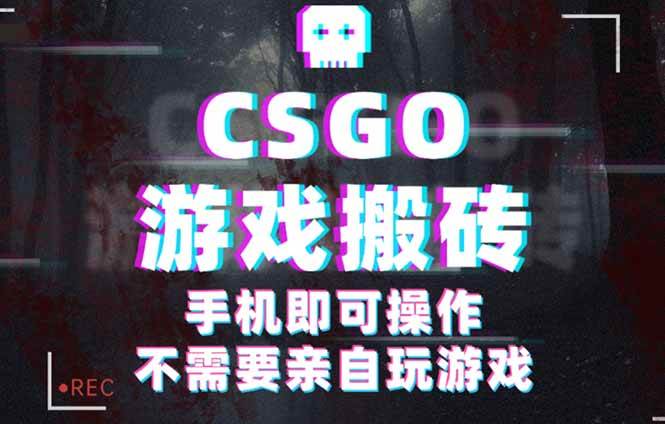 (16090期)CSGO游戏挂机捡漏,单日扫货500+,年底小高峰上车可吃肉,手机即可操作…-K6源码网